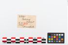 Etikett zu Bronzeriemenverteilerscheibe (NHMW-PRAE-026021)